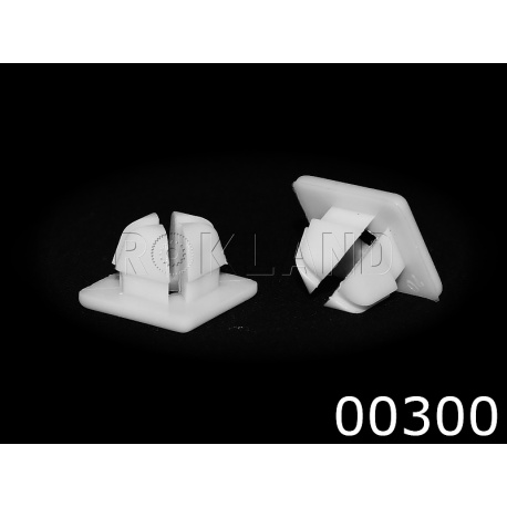 00300