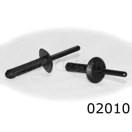 02010 заклепка автомобильная FORD/GM