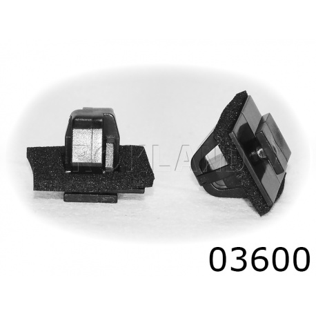 03600