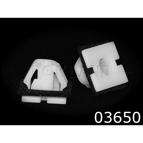 03650