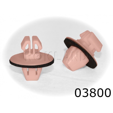 03800