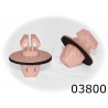 03800