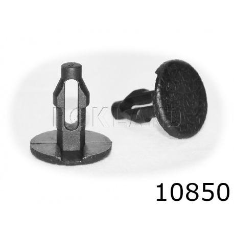 10850