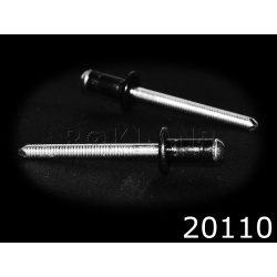 20110